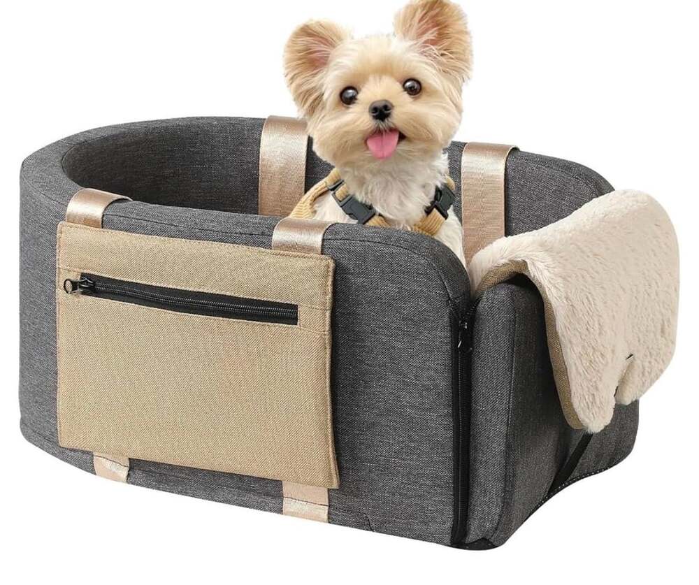 Cathpetic Center Console Dog Car Seat Gray Portable Puppy Booster